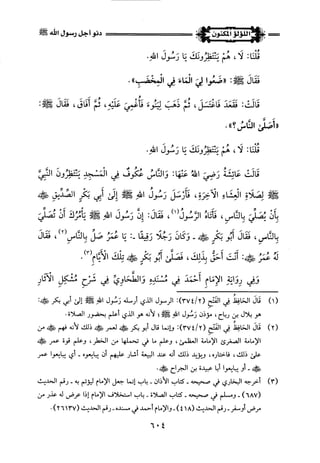 اللؤلؤ المكنون في سيرة النبي المأمون