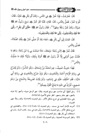 اللؤلؤ المكنون في سيرة النبي المأمون