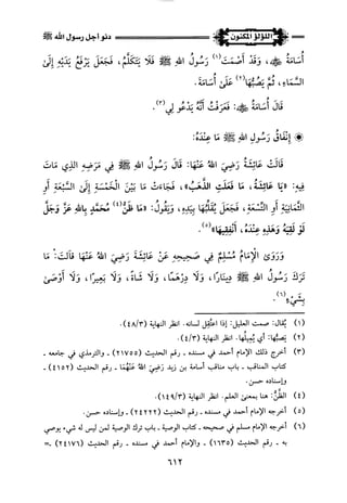 اللؤلؤ المكنون في سيرة النبي المأمون