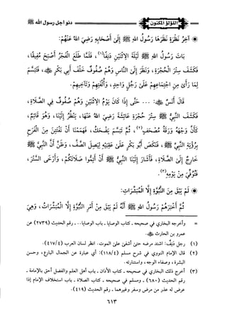 اللؤلؤ المكنون في سيرة النبي المأمون