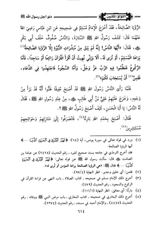 اللؤلؤ المكنون في سيرة النبي المأمون