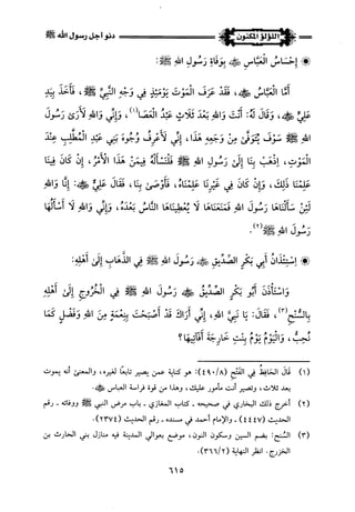 اللؤلؤ المكنون في سيرة النبي المأمون