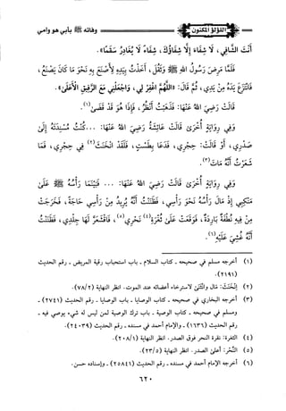 اللؤلؤ المكنون في سيرة النبي المأمون