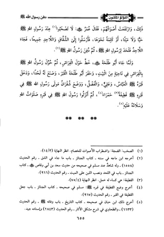 اللؤلؤ المكنون في سيرة النبي المأمون