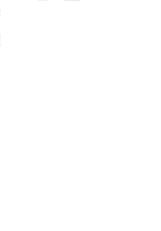 اللؤلؤ المكنون في سيرة النبي المأمون