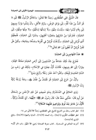 اللؤلؤ المكنون في سيرة النبي المأمون