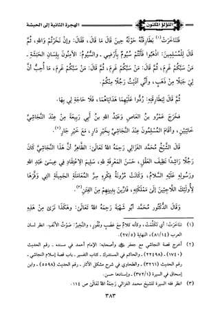 اللؤلؤ المكنون في سيرة النبي المأمون