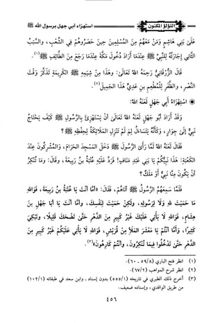 اللؤلؤ المكنون في سيرة النبي المأمون