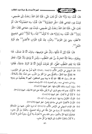 اللؤلؤ المكنون في سيرة النبي المأمون