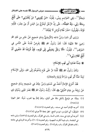 اللؤلؤ المكنون في سيرة النبي المأمون