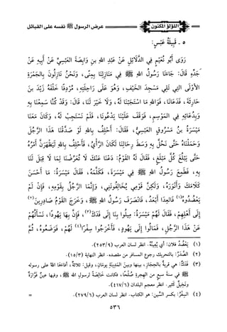 اللؤلؤ المكنون في سيرة النبي المأمون