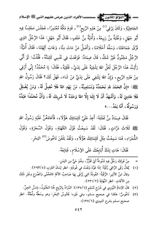 اللؤلؤ المكنون في سيرة النبي المأمون