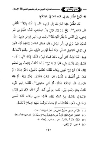 اللؤلؤ المكنون في سيرة النبي المأمون