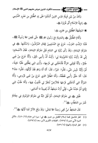 اللؤلؤ المكنون في سيرة النبي المأمون