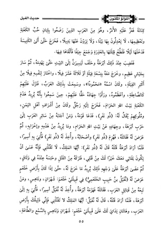 اللؤلؤ المكنون في سيرة النبي المأمون