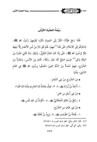 اللؤلؤ المكنون في سيرة النبي المأمون