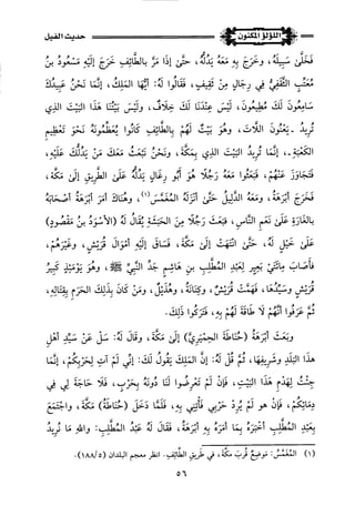 اللؤلؤ المكنون في سيرة النبي المأمون