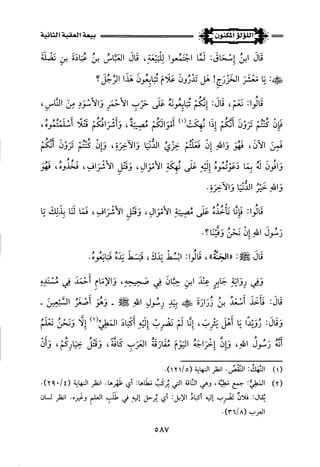 اللؤلؤ المكنون في سيرة النبي المأمون