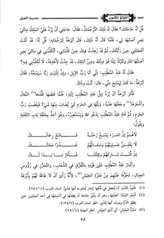 اللؤلؤ المكنون في سيرة النبي المأمون