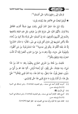 اللؤلؤ المكنون في سيرة النبي المأمون