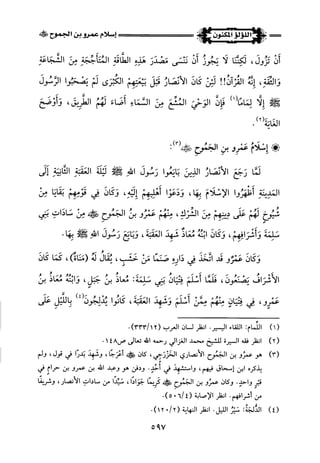 اللؤلؤ المكنون في سيرة النبي المأمون