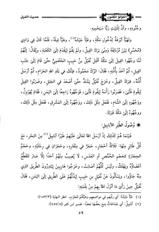 اللؤلؤ المكنون في سيرة النبي المأمون