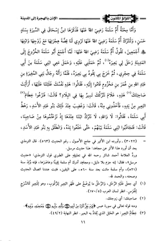 اللؤلؤ المكنون في سيرة النبي المأمون