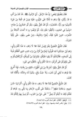 اللؤلؤ المكنون في سيرة النبي المأمون