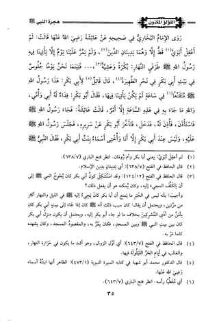 اللؤلؤ المكنون في سيرة النبي المأمون