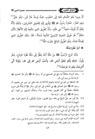 اللؤلؤ المكنون في سيرة النبي المأمون