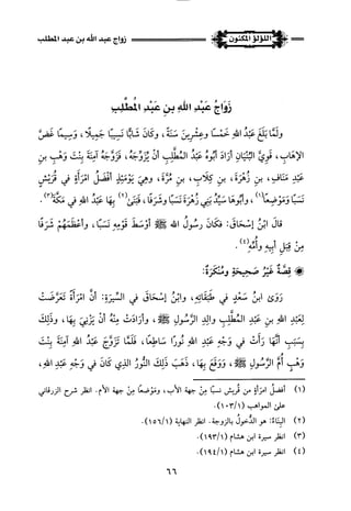 اللؤلؤ المكنون في سيرة النبي المأمون