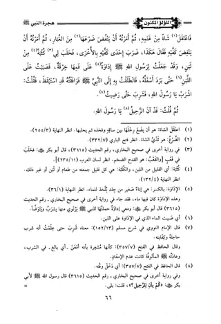 اللؤلؤ المكنون في سيرة النبي المأمون