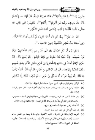 اللؤلؤ المكنون في سيرة النبي المأمون