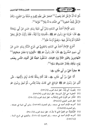 اللؤلؤ المكنون في سيرة النبي المأمون