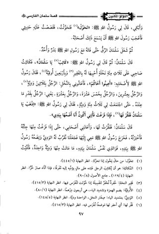 اللؤلؤ المكنون في سيرة النبي المأمون