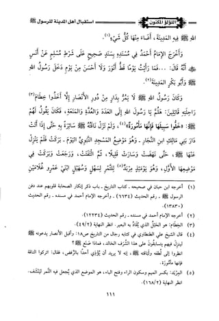 اللؤلؤ المكنون في سيرة النبي المأمون