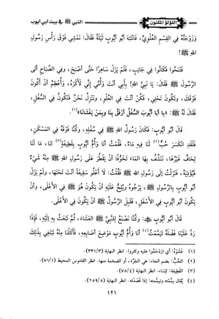 اللؤلؤ المكنون في سيرة النبي المأمون