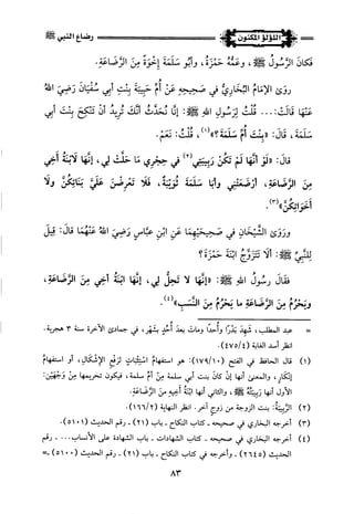 اللؤلؤ المكنون في سيرة النبي المأمون