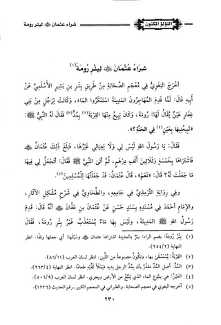 اللؤلؤ المكنون في سيرة النبي المأمون