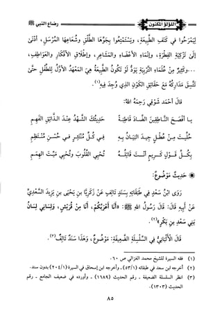 اللؤلؤ المكنون في سيرة النبي المأمون