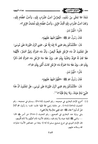 اللؤلؤ المكنون في سيرة النبي المأمون