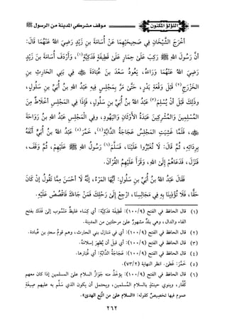 اللؤلؤ المكنون في سيرة النبي المأمون