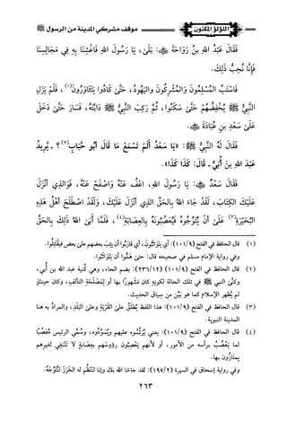 اللؤلؤ المكنون في سيرة النبي المأمون