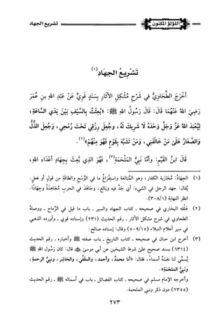 اللؤلؤ المكنون في سيرة النبي المأمون