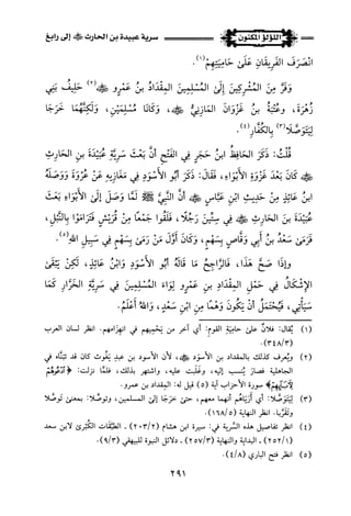 اللؤلؤ المكنون في سيرة النبي المأمون