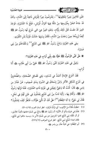 اللؤلؤ المكنون في سيرة النبي المأمون