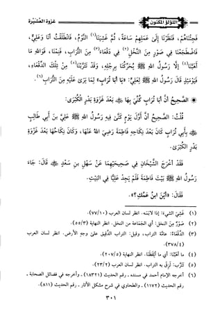 اللؤلؤ المكنون في سيرة النبي المأمون