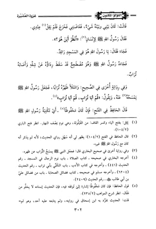 اللؤلؤ المكنون في سيرة النبي المأمون