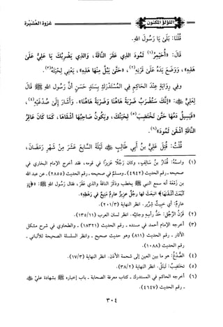 اللؤلؤ المكنون في سيرة النبي المأمون