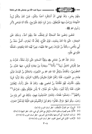 اللؤلؤ المكنون في سيرة النبي المأمون